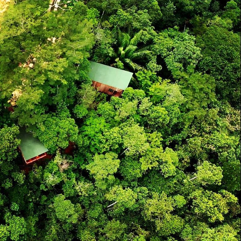 La Luciole Ecolodge Araquari Kültér fotó